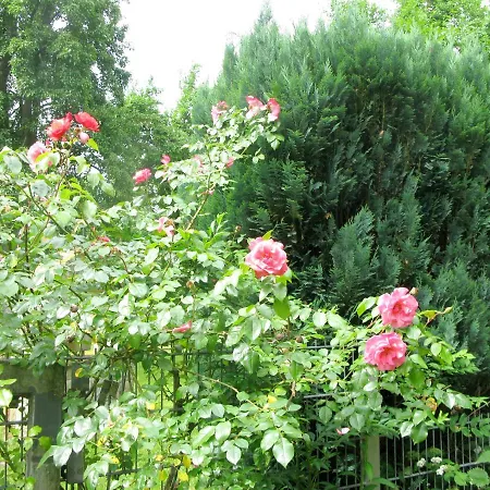 Monteurzimmer Am Muehlenbach Gasthof